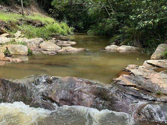 #4245 - Fazenda para Venda em Santa Cruz de Goiás - GO