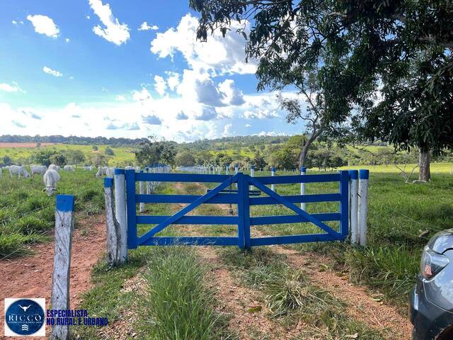 #4246 - Chácara para Venda em Inhumas - GO