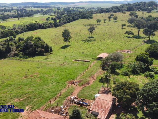 #4247 - Chácara para Venda em Itauçu - GO