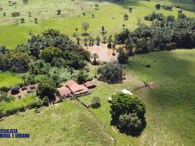 #4249 - Fazenda para Venda em Santa Fé de Goiás - GO