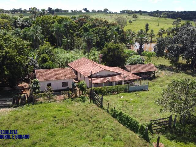 #4249 - Fazenda para Venda em Santa Fé de Goiás - GO