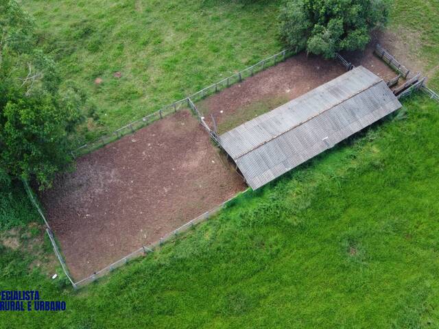 Fazenda para Venda em Santa Fé de Goiás - 4