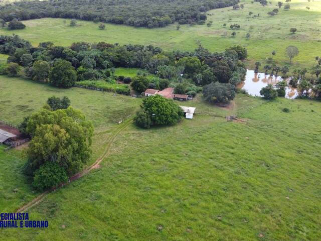 Fazenda para Venda em Santa Fé de Goiás - 5