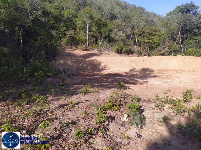 Chácara para Venda em Morro Agudo de Goiás - 5
