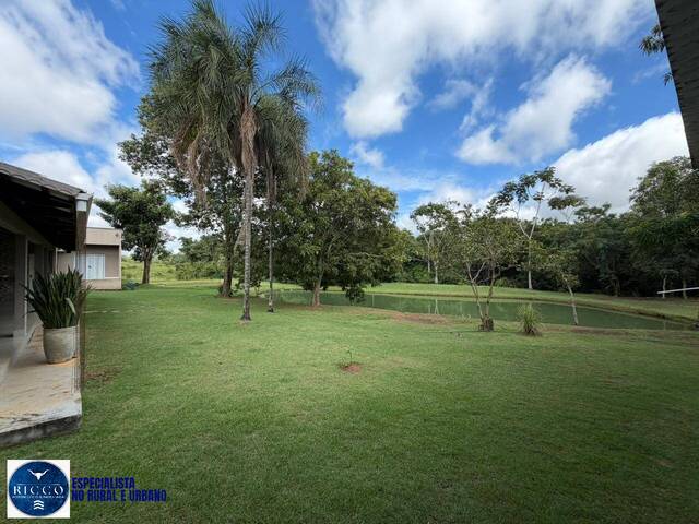 #4254 - Chácara para Venda em Bela Vista de Goiás - GO