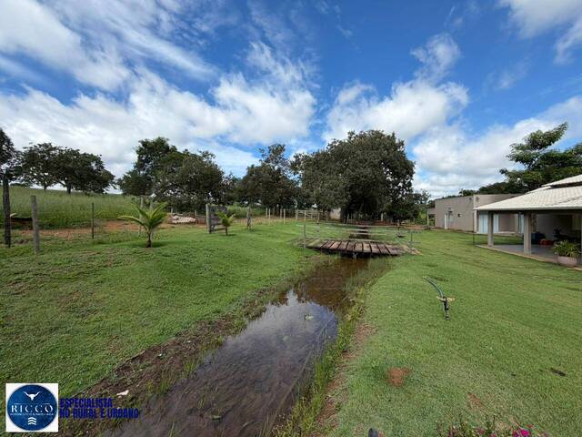 Chácara para Venda em Bela Vista de Goiás - 4