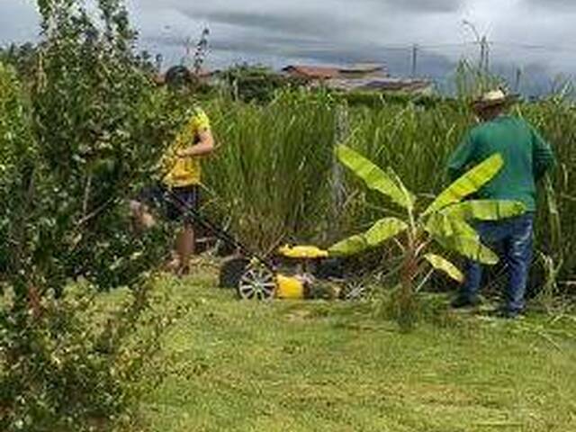 Chácara para Venda em Trindade - 5