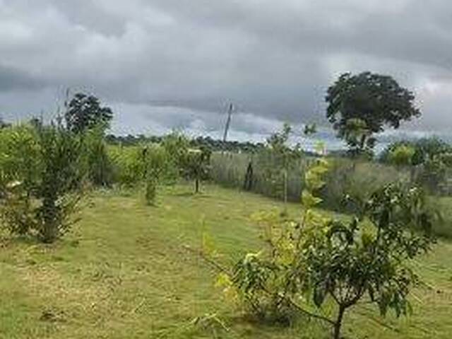 #4255 - Chácara para Venda em Trindade - GO