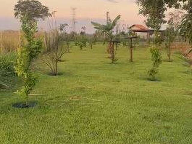 #4255 - Chácara para Venda em Trindade - GO