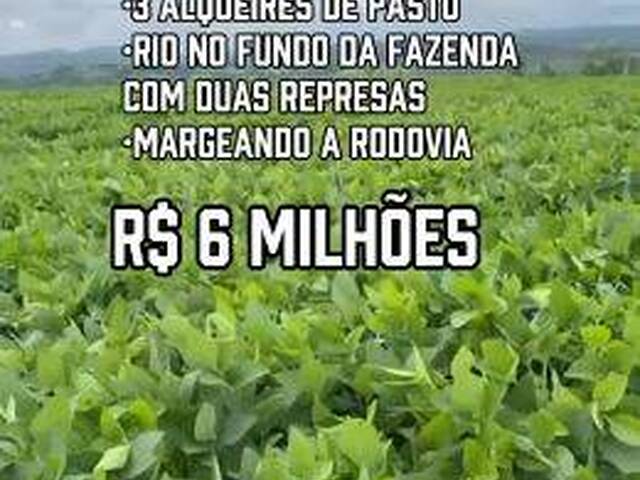 #4258 - Fazenda para Venda em Itapuranga - GO