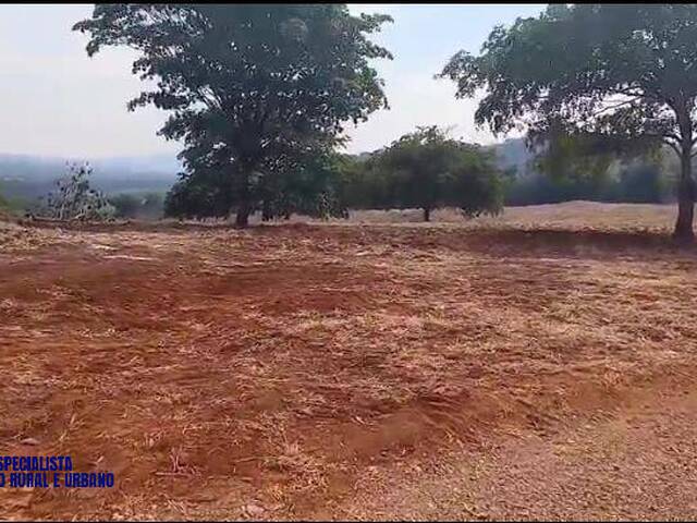 Fazenda para Venda em Itapuranga - 5