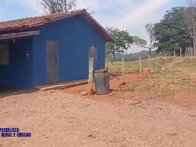 Fazenda para Venda em Itapuranga - 4