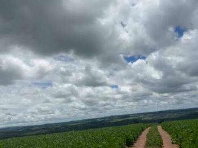 #4258 - Fazenda para Venda em Itapuranga - GO