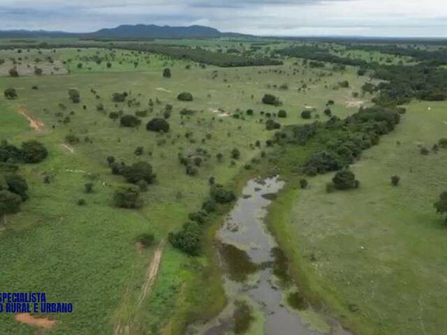 #4260 - Fazenda para Venda em Mozarlândia - GO