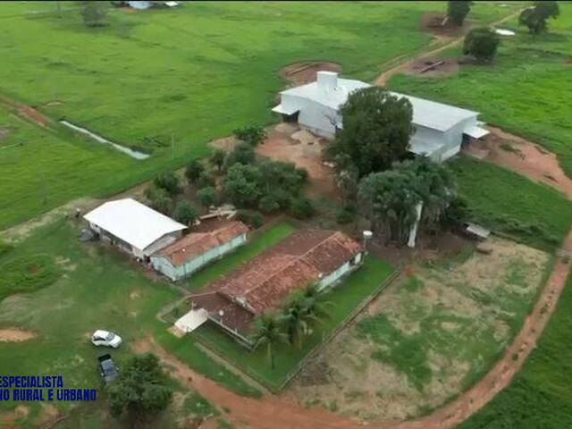 Venda em Área Rural - Mozarlândia