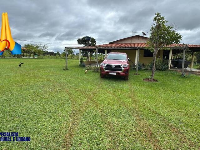 Sítio para Venda em Trindade - 4