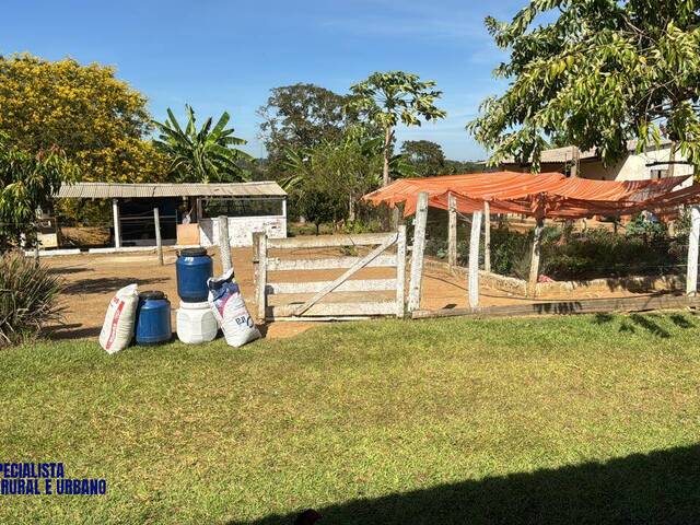 #4261 - Sítio para Venda em Trindade - GO