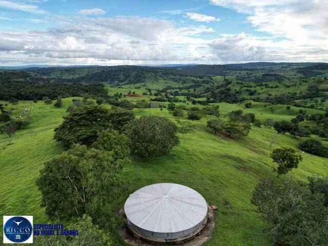 #4262 - Fazenda para Venda em Itapaci - GO