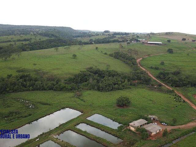Fazenda para Venda em Bela Vista de Goiás - 4