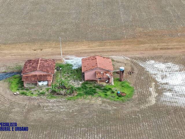 Fazenda para Venda em Anápolis - 4