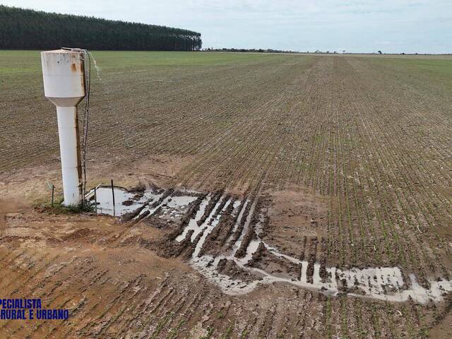 #4264 - Fazenda para Venda em Anápolis - GO
