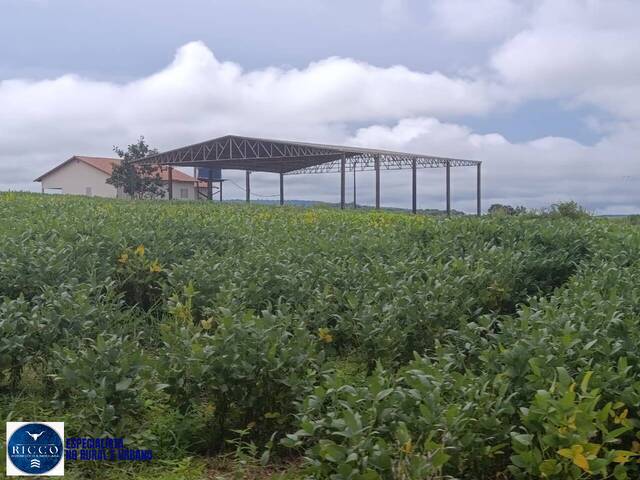 #4265 - Fazenda para Venda em Montes Claros de Goiás - GO