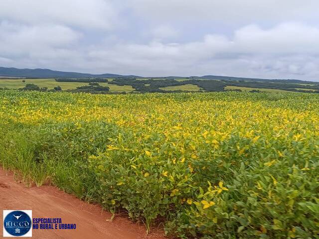 #4265 - Fazenda para Venda em Montes Claros de Goiás - GO
