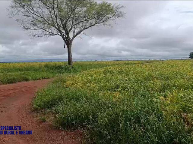 #4265 - Fazenda para Venda em Montes Claros de Goiás - GO