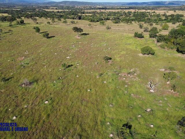 #4266 - Fazenda para Venda em Diorama - GO