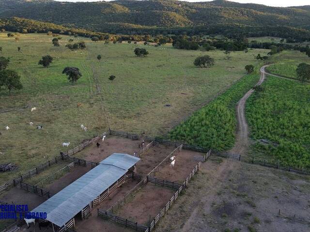 #4266 - Fazenda para Venda em Diorama - GO