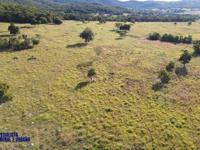Fazenda para Venda em Diorama - 5