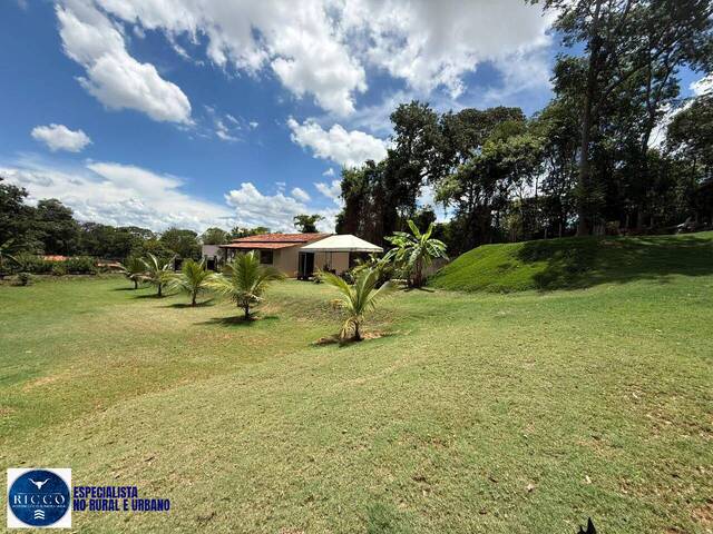 #4267 - Chácara para Venda em Nerópolis - GO