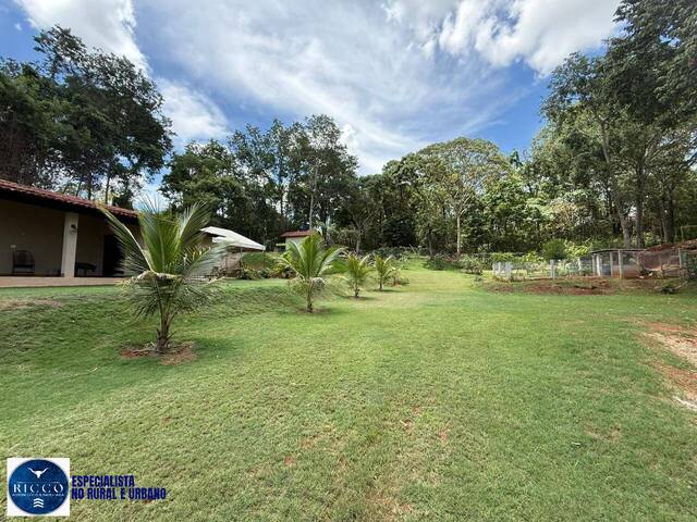 #4267 - Chácara para Venda em Nerópolis - GO