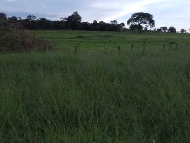 #4268 - Chácara para Venda em Amorinópolis - GO