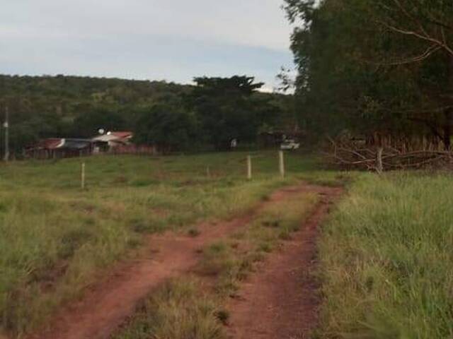 #4268 - Chácara para Venda em Amorinópolis - GO