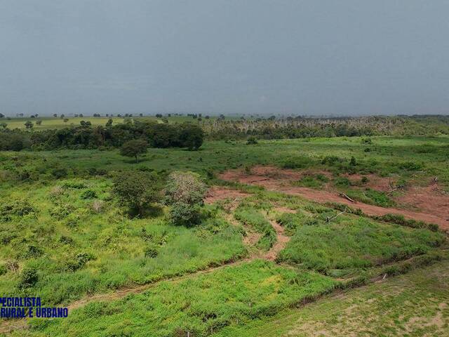 Fazenda para Venda em Montes Claros de Goiás - 5