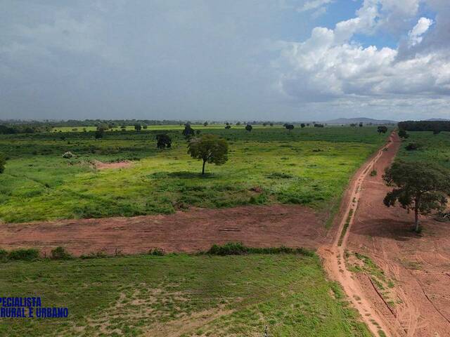 Fazenda para Venda em Montes Claros de Goiás - 4