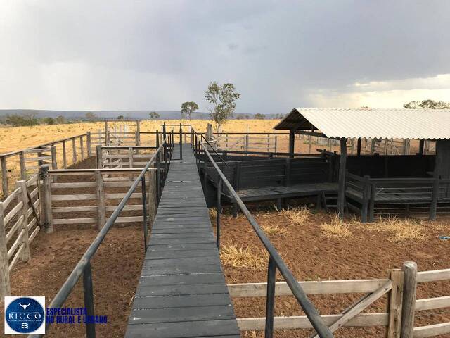 Fazenda para Venda em Guarani de Goiás - 5