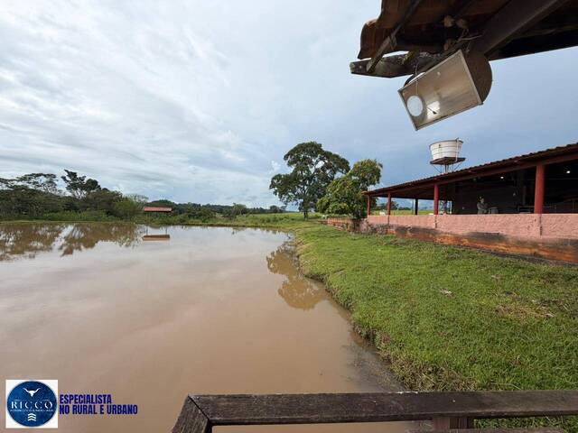 #4271 - Chácara para Venda em Caturaí - GO