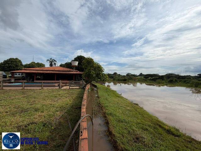 Chácara para Venda em Caturaí - 4