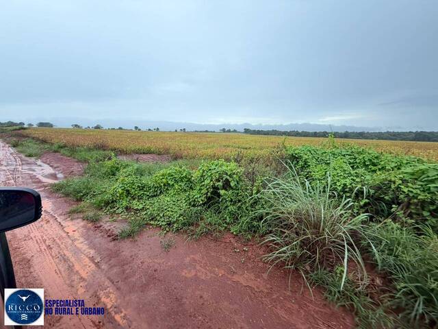 #4272 - Chácara para Venda em Jaupaci - GO