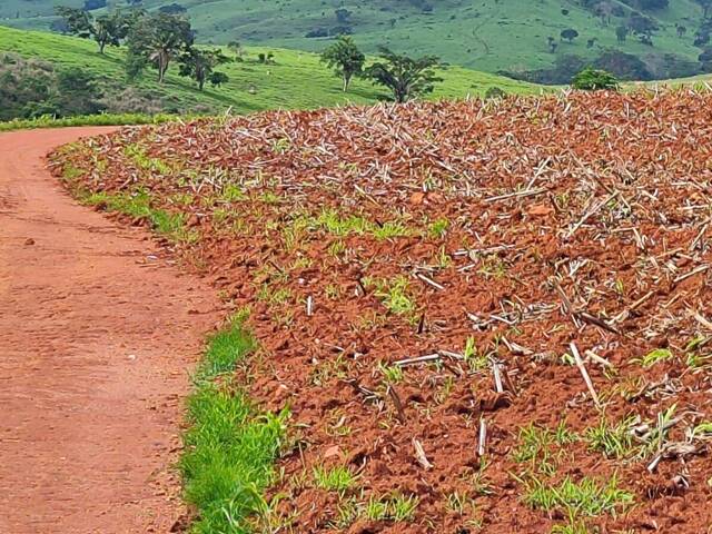 #4273 - Fazenda para Venda em Itauçu - GO
