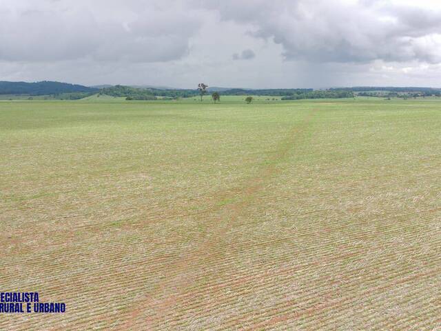 #4273 - Fazenda para Venda em Itauçu - GO