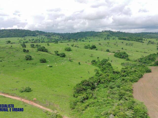 Fazenda para Venda em Itauçu - 4