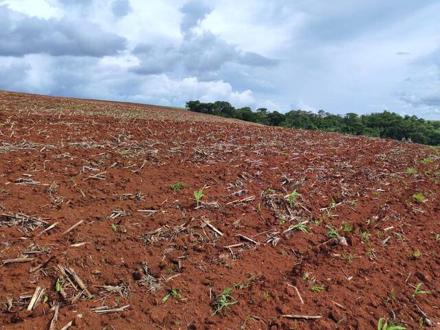 Fazenda para Venda em Itauçu - 5