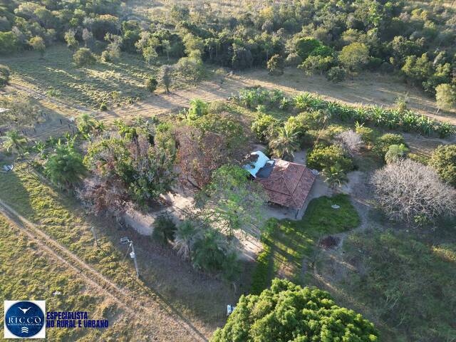 #4275 - Fazenda para Venda em Sandolândia - TO