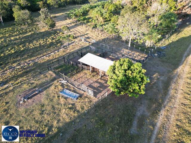 Fazenda para Venda em Sandolândia - 4