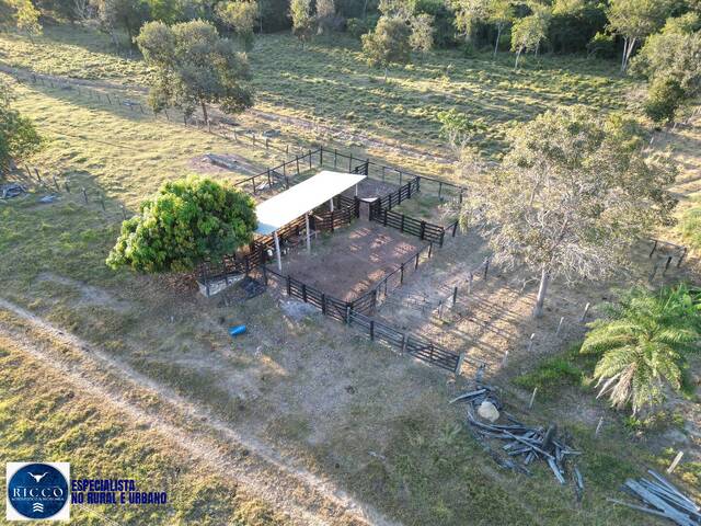 Fazenda para Venda em Sandolândia - 5