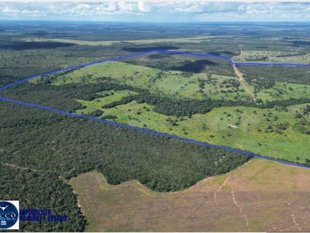 #4276 - Fazenda para Venda em Araguaçu - TO