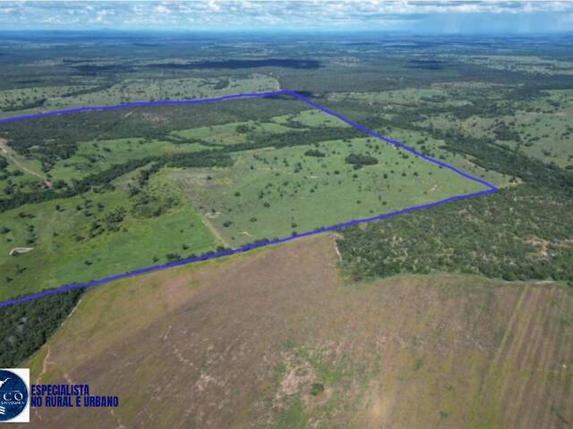 #4276 - Fazenda para Venda em Araguaçu - TO
